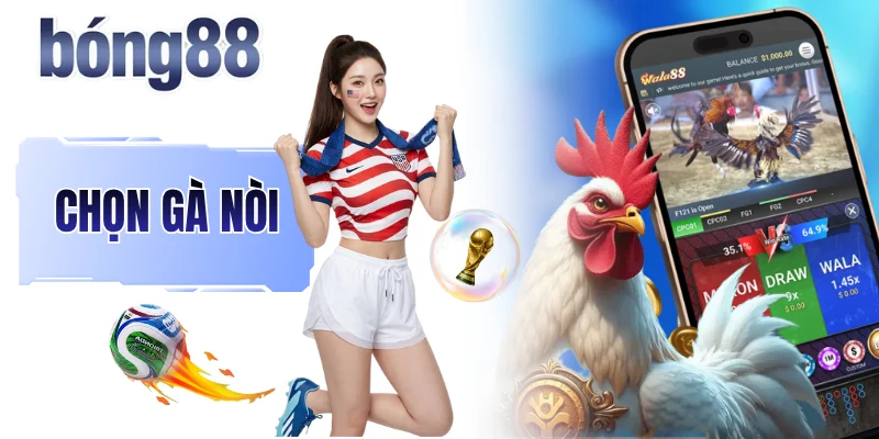 Cẩm Nang Chọn Gà Nòi Để Sở Hữu Những Chiến Kê Bất Bại