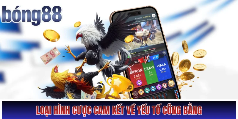 Đá Gà Thomo - Nơi Quy Tụ Màn So Tài Với Chiến Kê Bất Bại Hình số 3 Loại hình cược cam kết về yếu tố công bằng