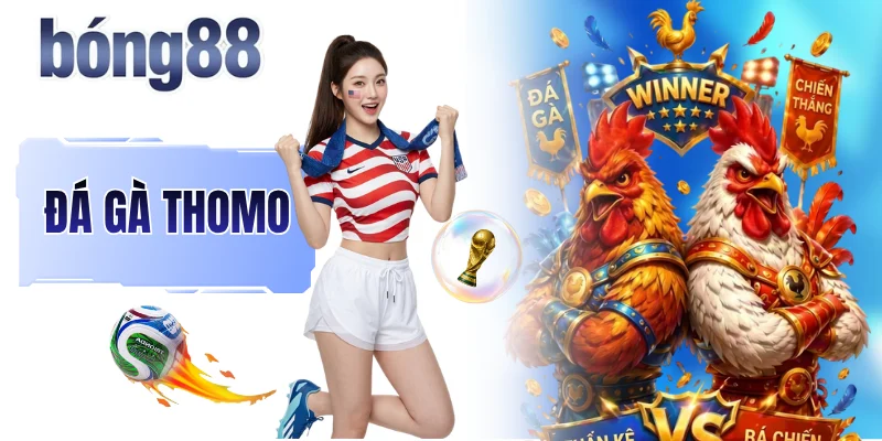 Đá Gà Thomo - Nơi Quy Tụ Màn So Tài Với Chiến Kê Bất Bại