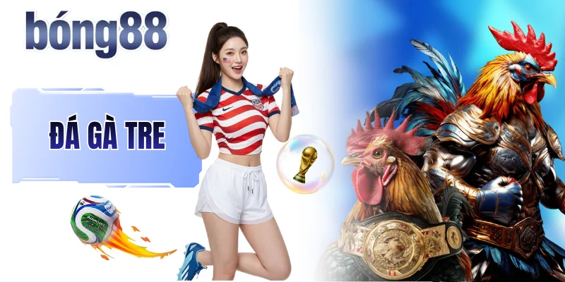 Đá Gà Tre - Cuộc Chiến Của Những Chiến Kê “Nhỏ Mà Có Võ”