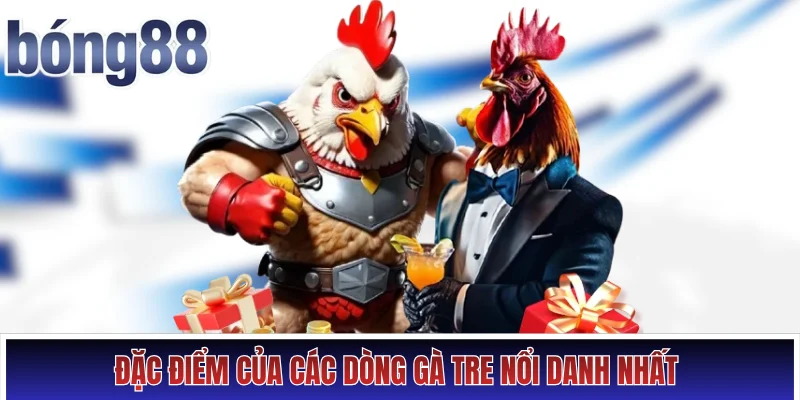 Đặc điểm của các dòng gà tre nổi danh nhất