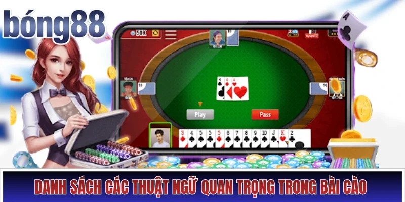 Danh sách các thuật ngữ quan trọng trong Bài Cào