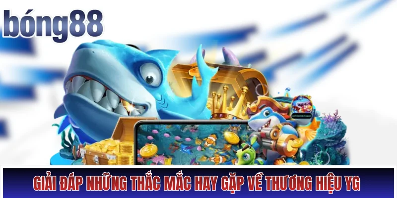 Giải đáp những thắc mắc hay gặp về thương hiệu YG 