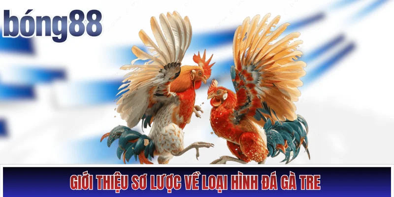 Giới thiệu sơ lược về loại hình đá gà tre nổi tiếng