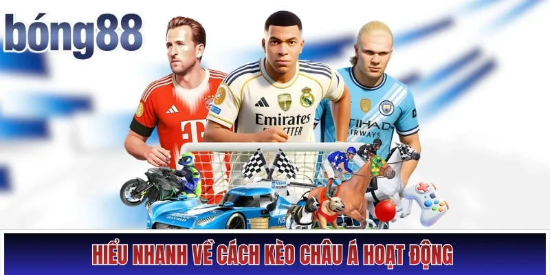 Hiểu nhanh về cách kèo châu Á hoạt động