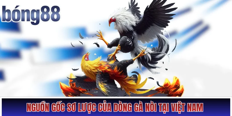 Nguồn gốc sơ lược của dòng gà nòi tại Việt Nam