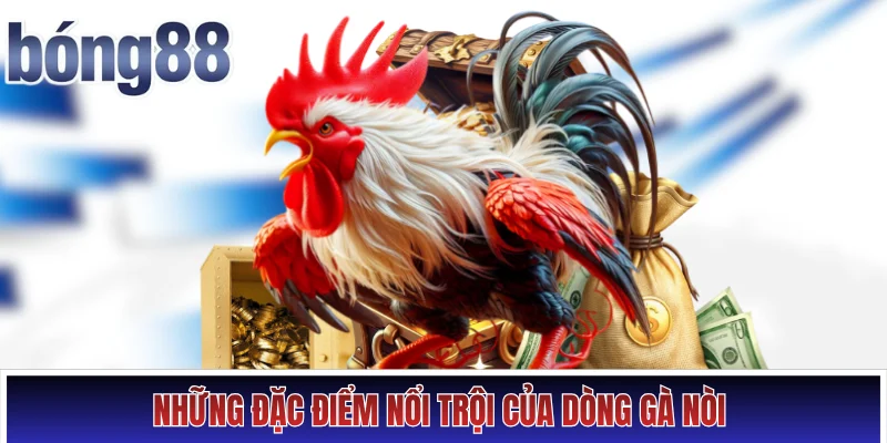 Những đặc điểm nổi trội của dòng gà nòi