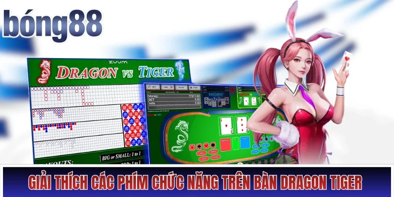 Giải thích các phím chức năng trên bàn Dragon Tiger