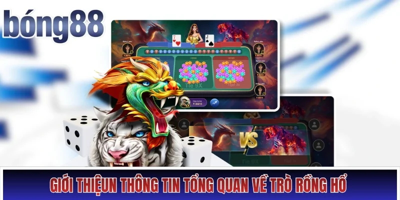 Giới thiệun thông tin tổng quan về trò Rồng Hổ