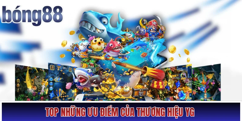 Top những ưu điểm của thương hiệu YG 